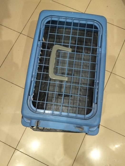 Transportadora gato