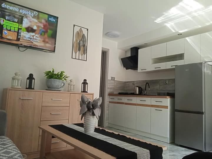 Domki letniskowe 4 osobowe  w lesie nad jeziorem Borek