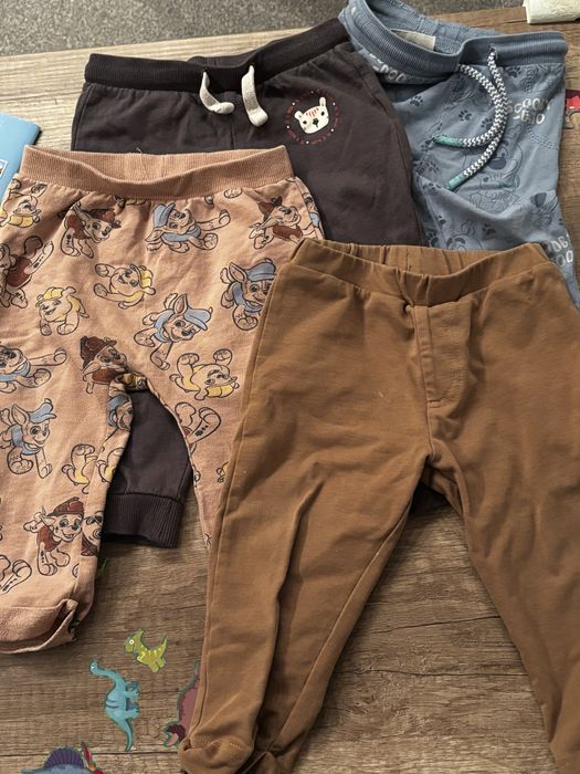Spodenki 80 rozmiar dlugie 4 sztuki coccodrillo nikoldeon pepco
