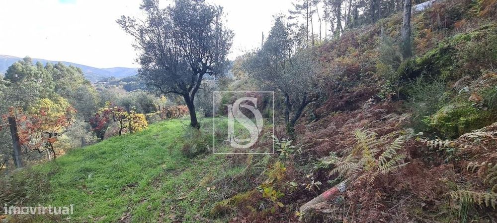 Terreno  Venda em Candemil,Amarante