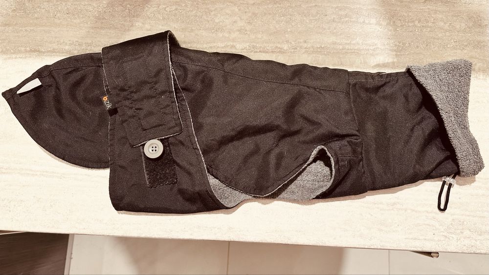 Kurtka dla szczeniaka whippeta / charta - marki Bzik Studio - ZA DARMO