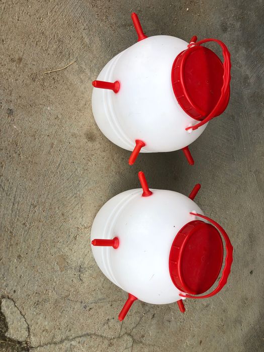 Amamentadores de borregos/ cabritos