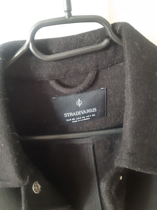 Kurteczka Stradivarius.