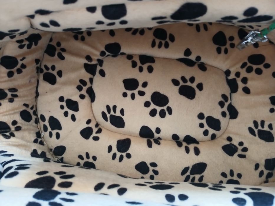 Сумка переноска для котів та собак