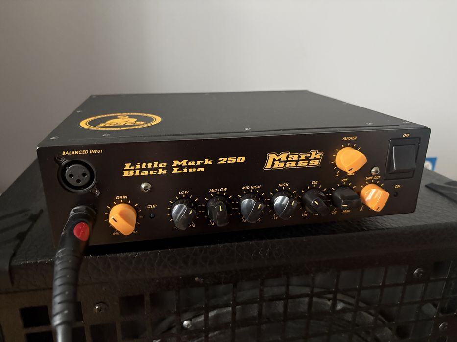 Markbass Little Mark 250 head basowy