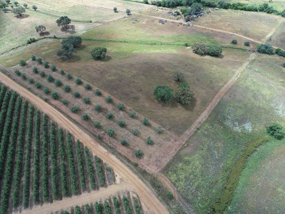 herdade no baixo Alentejo
