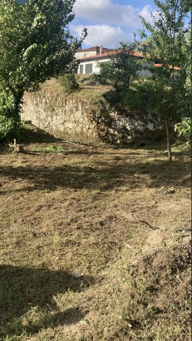 Limpezas de Terrenos e Florestais