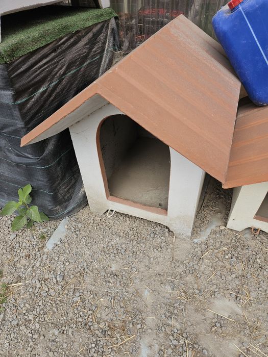Casota de cão  em  cimento