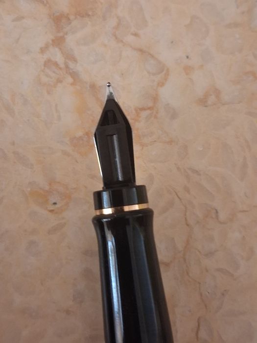 Caneta tinteiro Waterman Expert