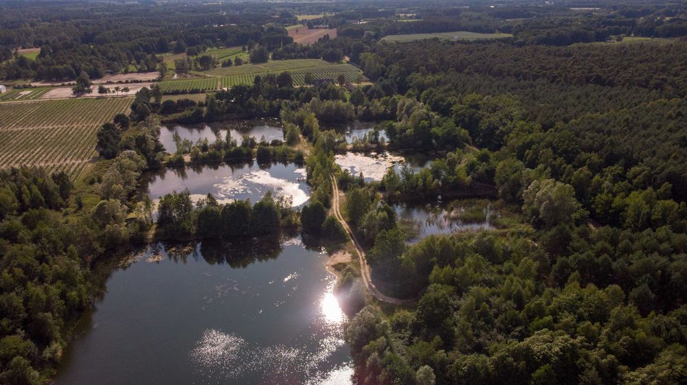 Działka 7,5ha, 6x stawy wędkarskie, przy rezerwacie Natura 2000 - Widok 2
