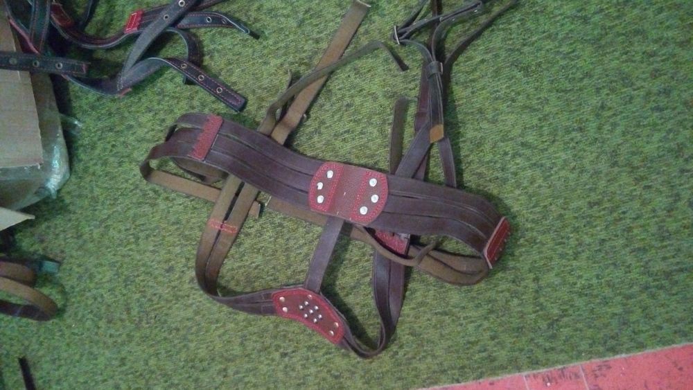 Упряж Виготовлення упряжі , посторонки вожжи віжки ліци шлея шорка .