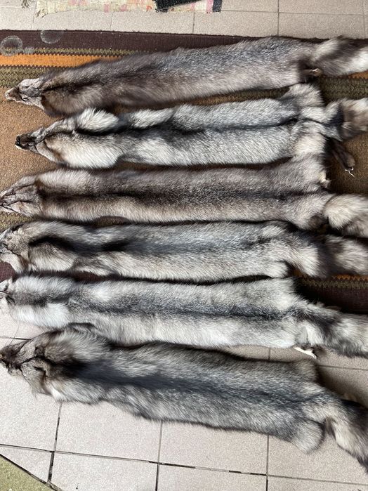 Хутро чорно-бурої лисиці