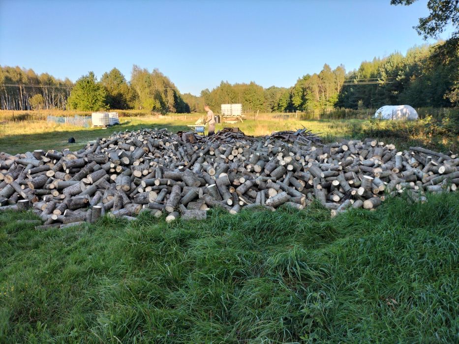 Drzewo opałowe sosnowe