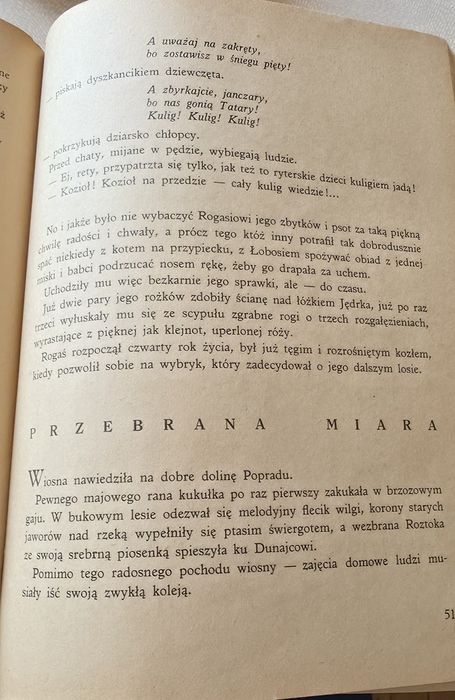 Rogaś z Doliny Roztoki