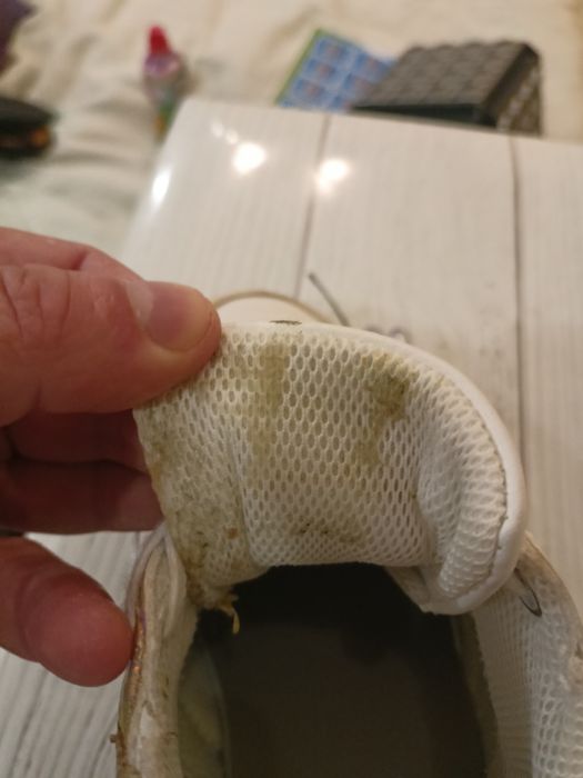 Жіночі кросівки нові