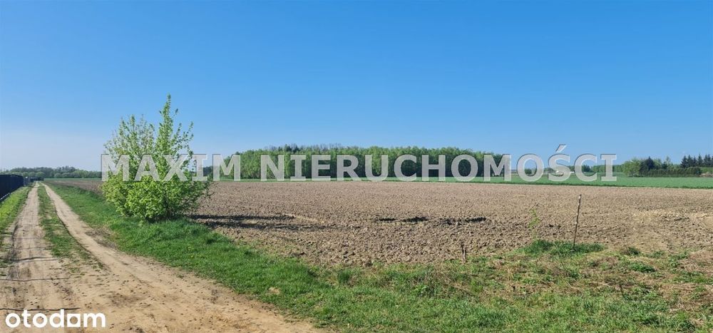 Działki w Srebrnej k/Czerwińsk nad Wisłą - Widok 2