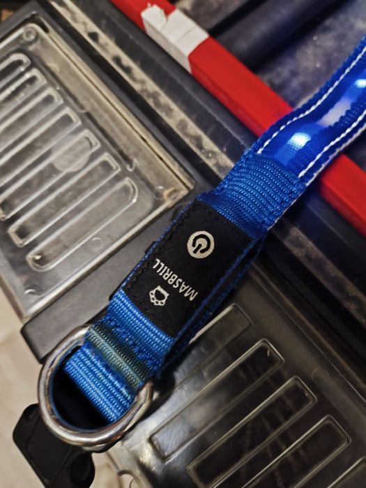 Ошийник для собаки з підсвіткою