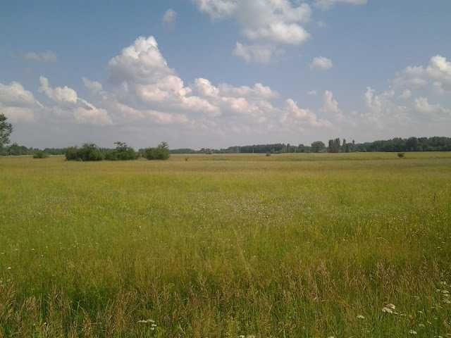 działki dzierżawa