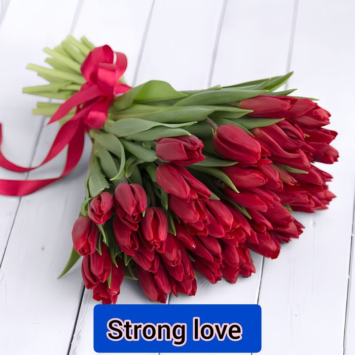 Тюльпани до 8 березня, раннє бронювання.