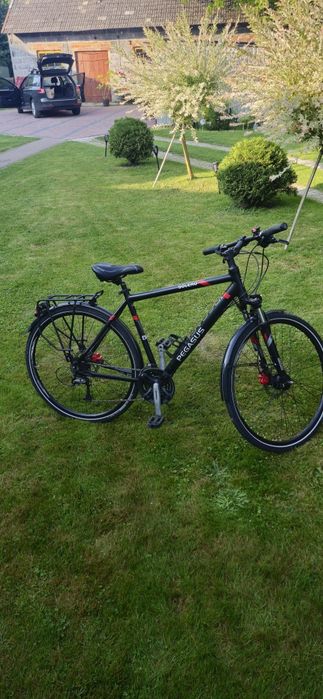 Rower Pegasus Solero