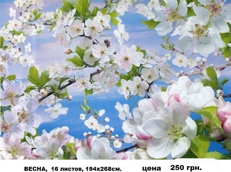 Фотообои глянцевые!  Шпалери.