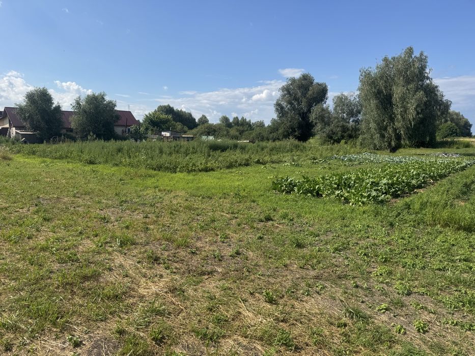 Продам ділянку  10.6 соток Требухів |14 хв Бровари |  без %