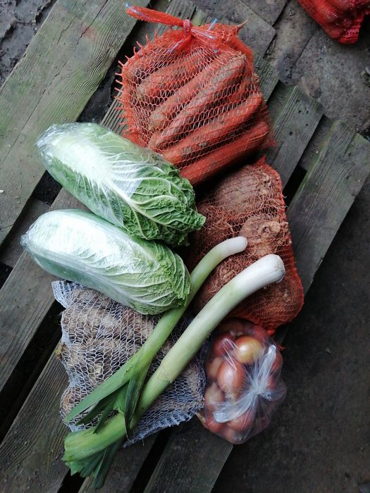 Cebula 10 kilo 10 główek czosnku