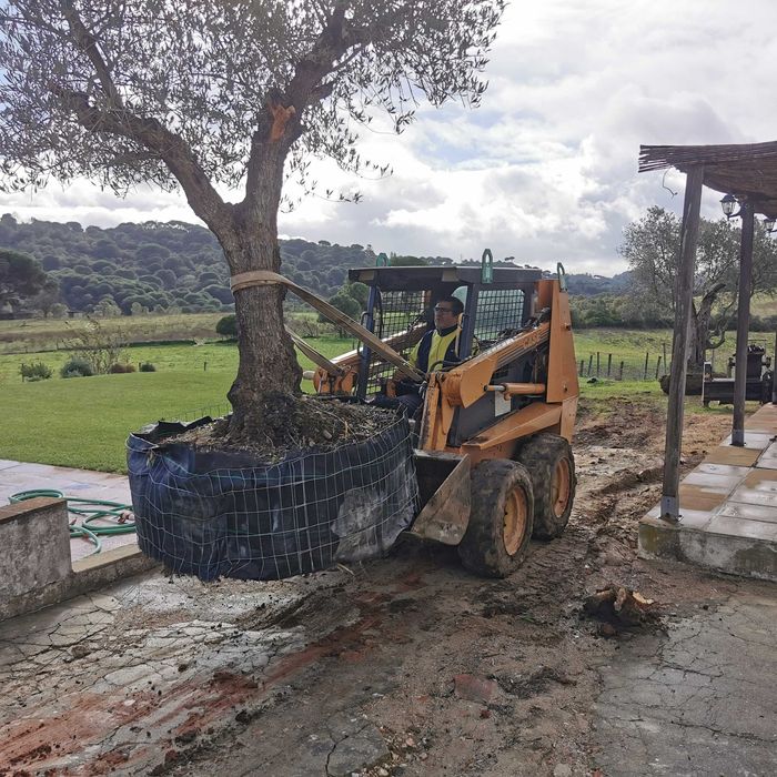 Aluguer mini giratória, bobcat e carrinha c/operador - Setúbal