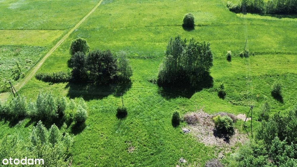 Budowlano-rolna działka w Janowicach | 9 arów budowlanej | 0.28 Ha - Widok 2