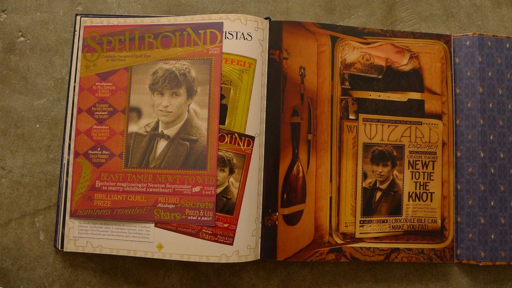 O Arquivo da Magia - A Magia do Filme "Os Crimes de Grindwald"