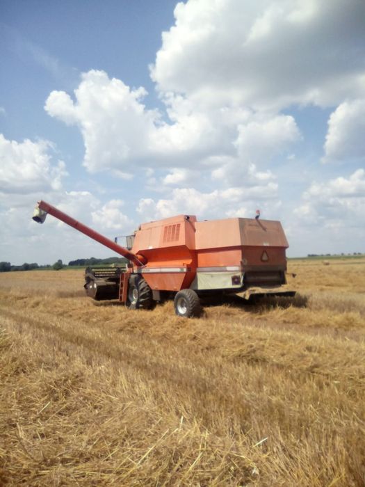Kombajn zbożowy Massey Ferguson 38