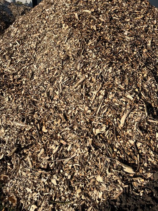 Zrębka trociny do ściółkowania na rabaty ścieżki, świeża, b. ładna