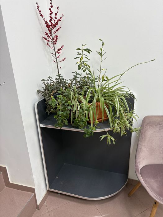 Вітрини  торгівельні оптика прикраси