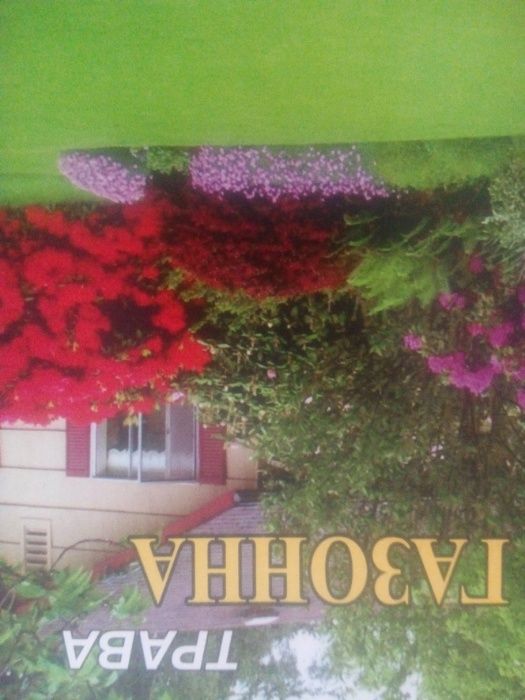 Семена газонной травы Универсальная.Качественный многолетний газон ...