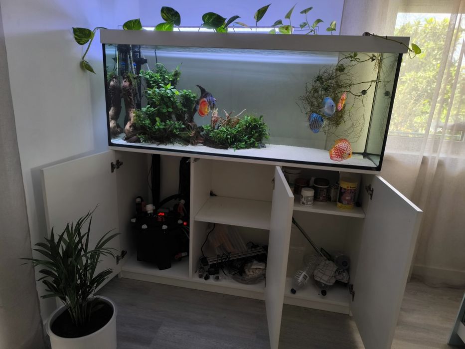 Aquário 150cm  com discos