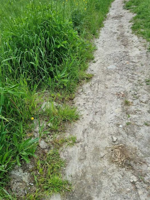 Продаж ділянки с.МАЛЕЧКОВИЧІ з двох сторін заїзд 60 до 1 га