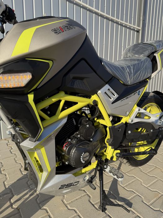 Shineray nitrox 300