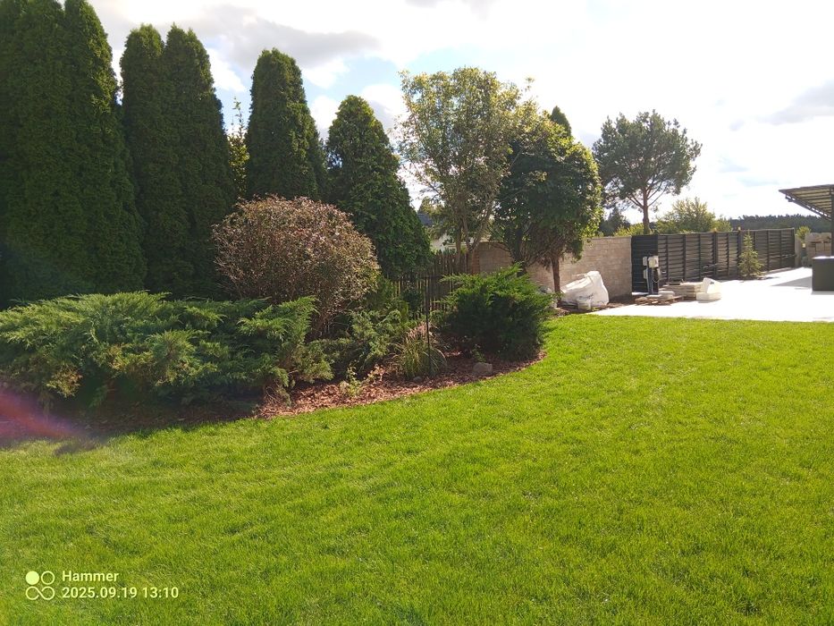 Zakładanie ogrodów Nawodnienia