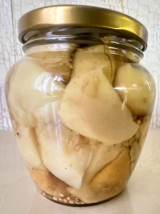 Консервированые грибы