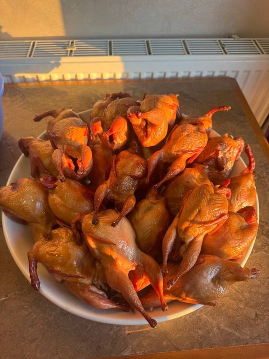 Домашнє копчення, ковбаси, м'ясо на дровах, перепілки, тушенки