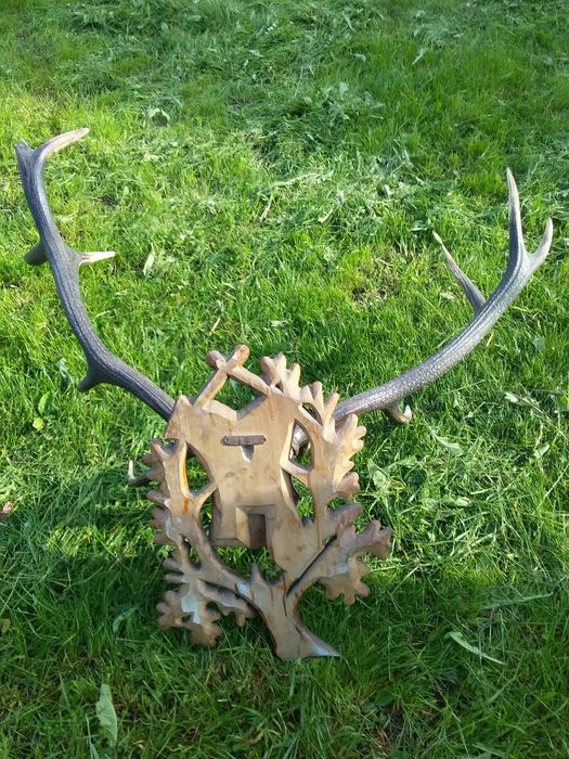 Оленячі роги натуральні