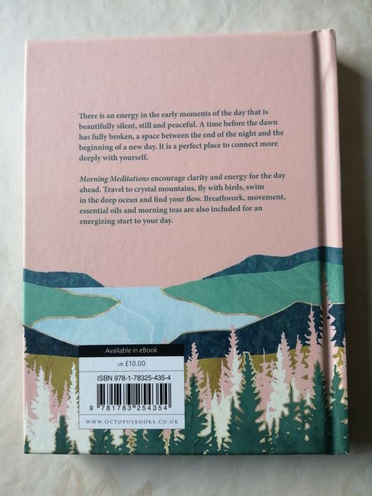 Livro Morning Meditations - Danielle North