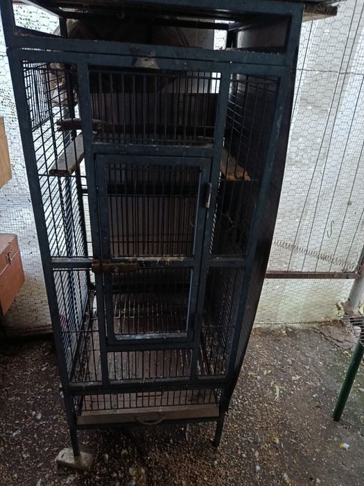 Gaiolas usadas várias