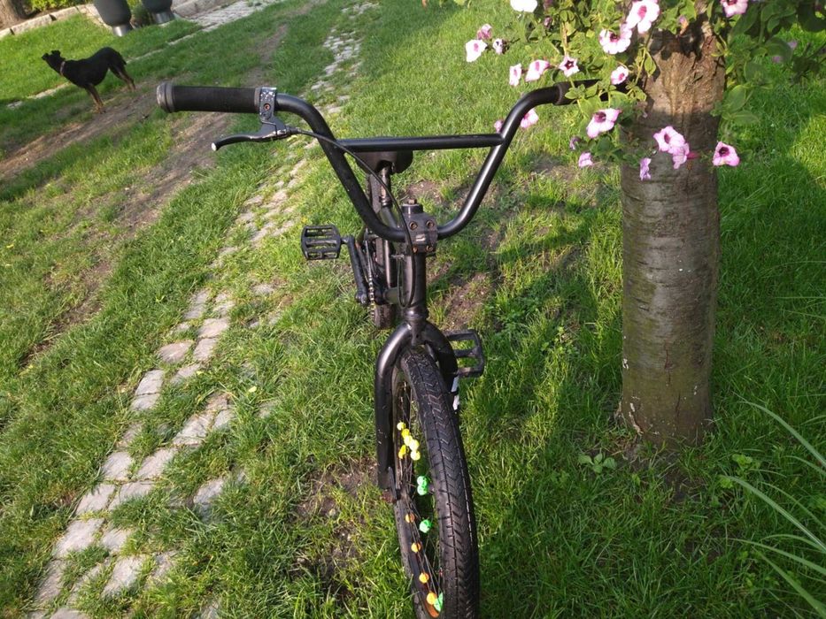 Rower  BMX  Salt