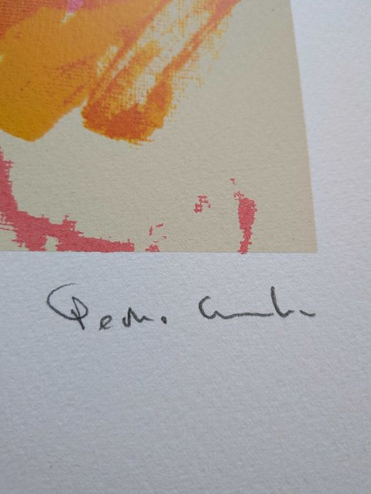 Serigrafia Numerada e Assinada Pedro Cunha Centro Português Serigrafia