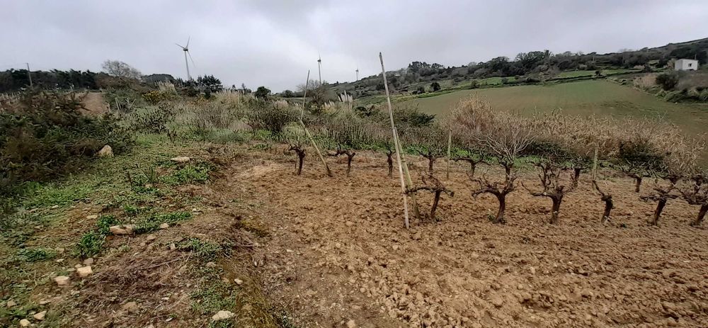 Quinta pequena- Sobral de Monte Agraço