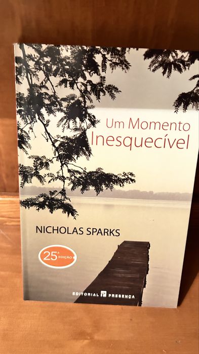 Lote Livros Nicholas Sparks, Mitch Albom e Vargas Llosa (Ed. Presença)