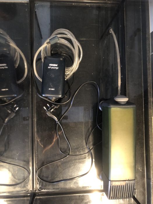 Aquário para peixes