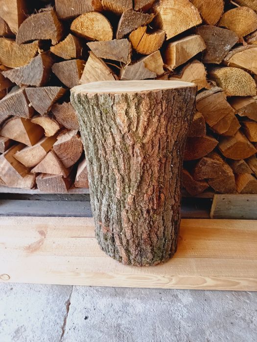 Pień dębowy, wysokość 50cm, waga 30kg
