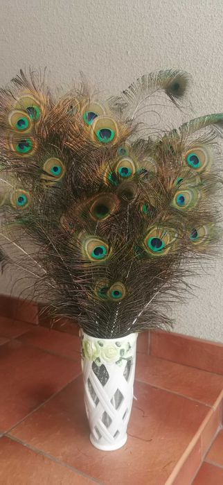 Ptasie piórka (lotki)